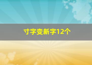 寸字变新字12个