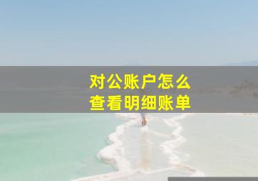 对公账户怎么查看明细账单