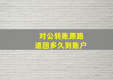 对公转账原路退回多久到账户