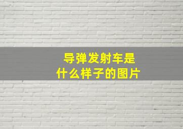 导弹发射车是什么样子的图片