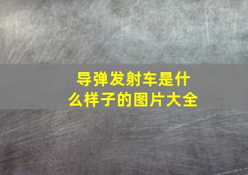 导弹发射车是什么样子的图片大全