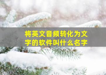 将英文音频转化为文字的软件叫什么名字