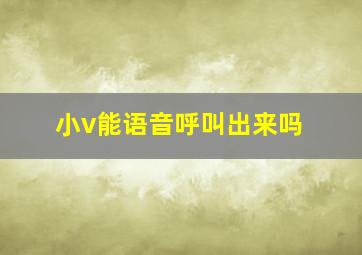 小v能语音呼叫出来吗