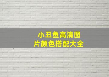 小丑鱼高清图片颜色搭配大全