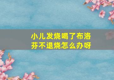 小儿发烧喝了布洛芬不退烧怎么办呀