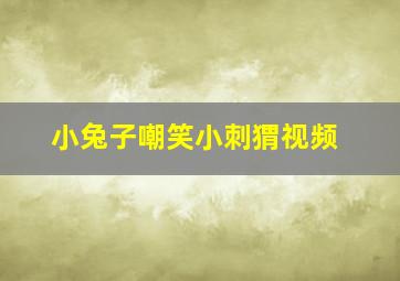 小兔子嘲笑小刺猬视频