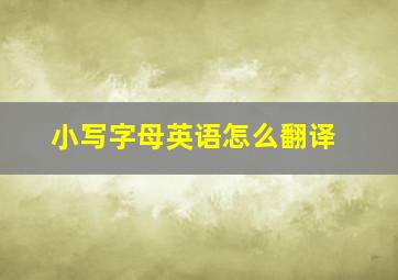 小写字母英语怎么翻译