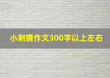 小刺猬作文300字以上左右