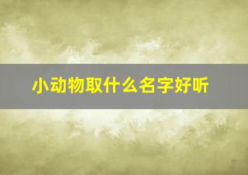 小动物取什么名字好听