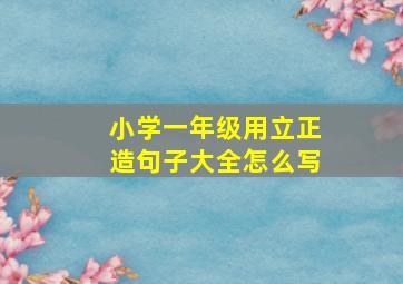 小学一年级用立正造句子大全怎么写