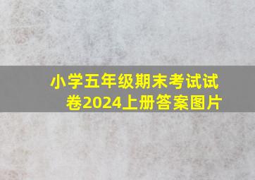 小学五年级期末考试试卷2024上册答案图片