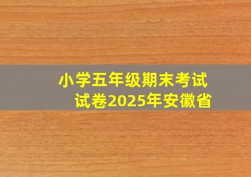 小学五年级期末考试试卷2025年安徽省