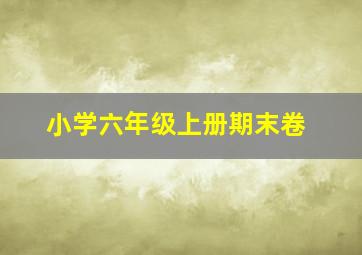 小学六年级上册期末卷