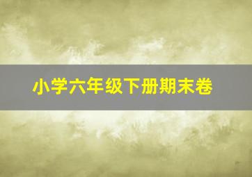 小学六年级下册期末卷