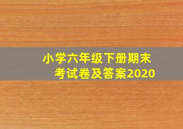 小学六年级下册期末考试卷及答案2020