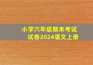 小学六年级期末考试试卷2024语文上册