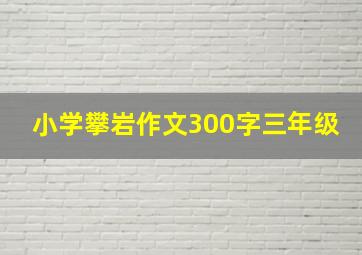 小学攀岩作文300字三年级