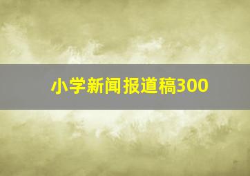 小学新闻报道稿300