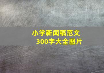 小学新闻稿范文300字大全图片