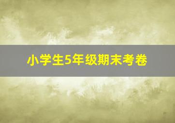 小学生5年级期末考卷