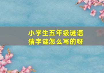 小学生五年级谜语猜字谜怎么写的呀