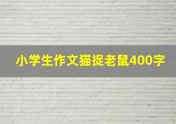 小学生作文猫捉老鼠400字