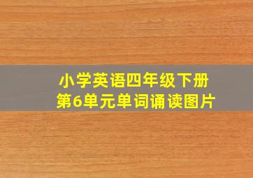 小学英语四年级下册第6单元单词诵读图片