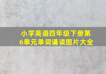 小学英语四年级下册第6单元单词诵读图片大全