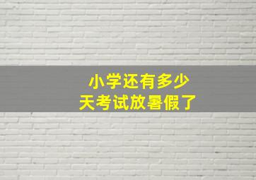 小学还有多少天考试放暑假了