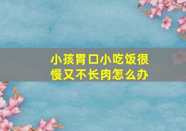 小孩胃口小吃饭很慢又不长肉怎么办