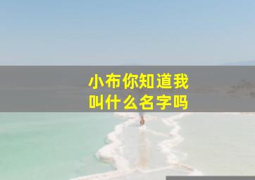 小布你知道我叫什么名字吗