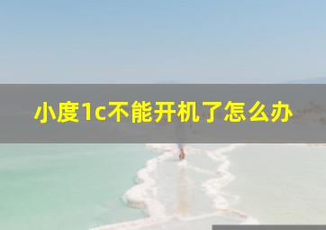 小度1c不能开机了怎么办