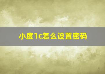 小度1c怎么设置密码