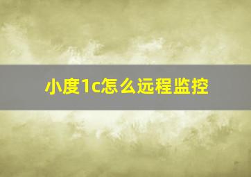 小度1c怎么远程监控