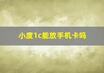 小度1c能放手机卡吗