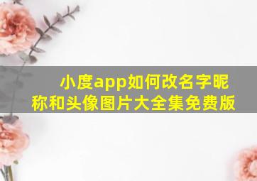 小度app如何改名字昵称和头像图片大全集免费版