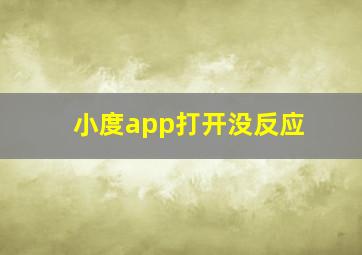 小度app打开没反应