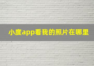 小度app看我的照片在哪里