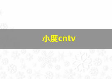 小度cntv