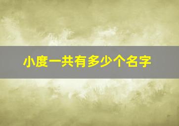 小度一共有多少个名字