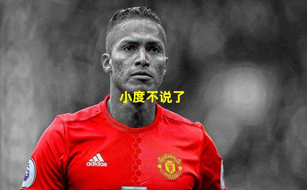 小度不说了