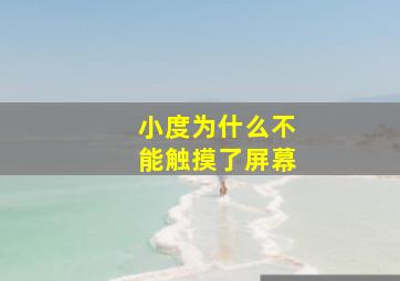 小度为什么不能触摸了屏幕