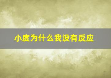 小度为什么我没有反应