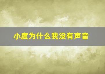 小度为什么我没有声音