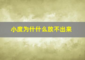 小度为什什么放不出来