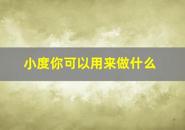 小度你可以用来做什么