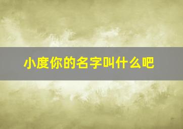 小度你的名字叫什么吧