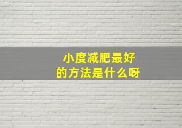 小度减肥最好的方法是什么呀