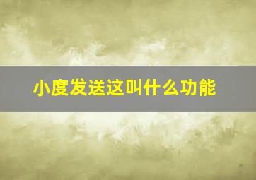 小度发送这叫什么功能