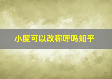 小度可以改称呼吗知乎